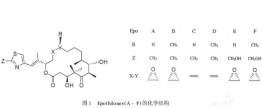 埃博黴素