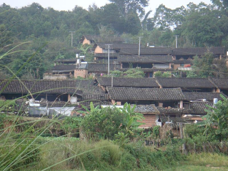 那棵落自然村