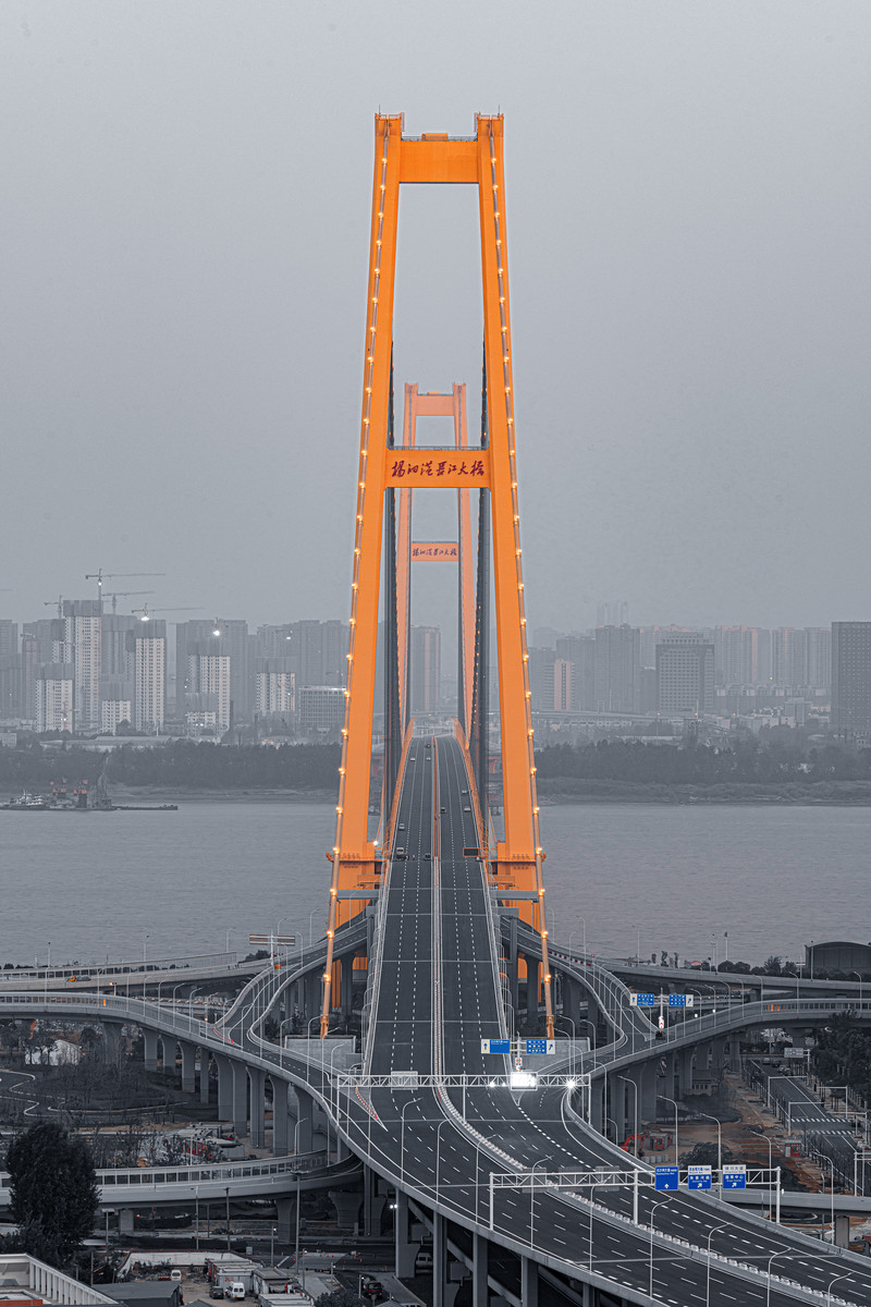 遠瞰楊泗港長江大橋