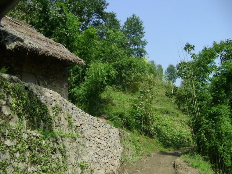 村內崎嶇的道路