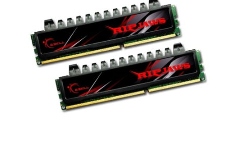 芝奇4GB DDR2 1200