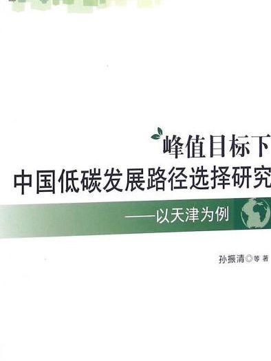 峰值目標下中國低碳發展路徑選擇研究以天津為例