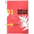 青春小說精品讀本(2006年中國青年出版的圖書)