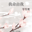 我命由我(零零鷹創作的網路小說作品)