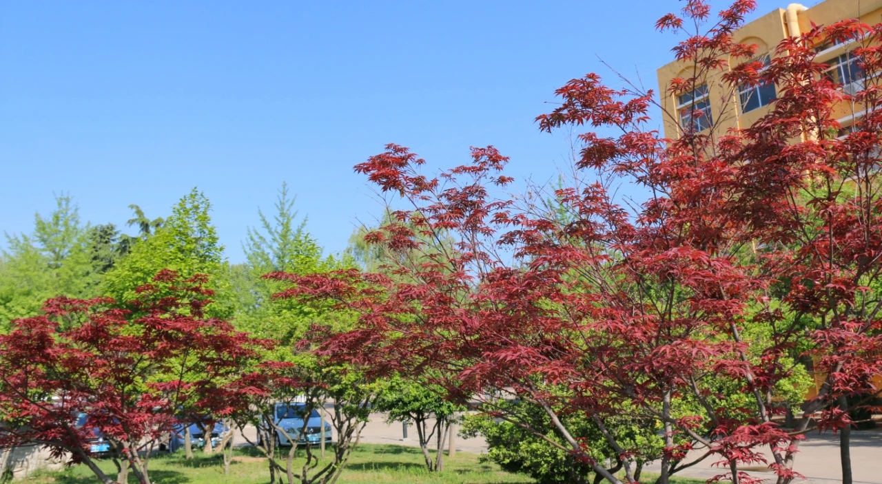 臨沂市電子科技學校(郯城縣職教中心學校)