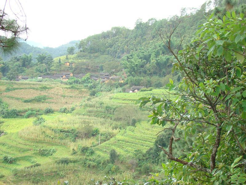 大立馬東自然村