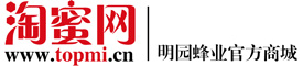 網站LOGO