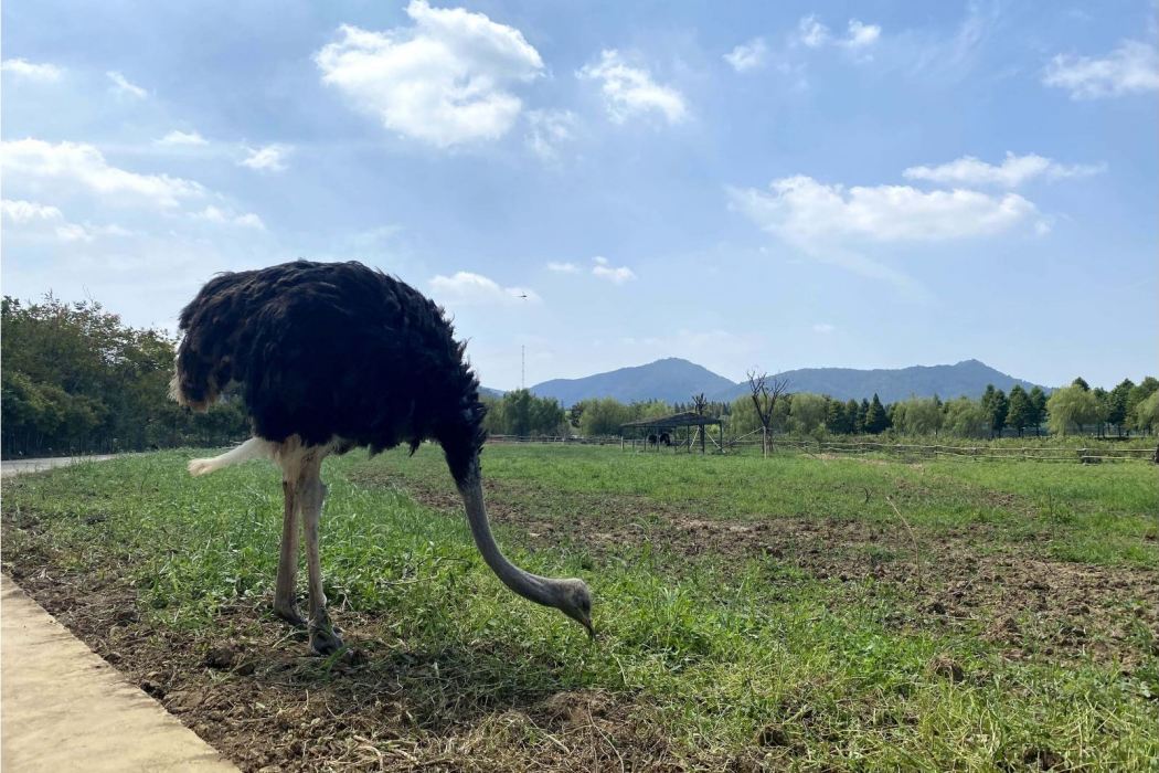 一號農場萌動樂園