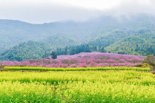 祿前村