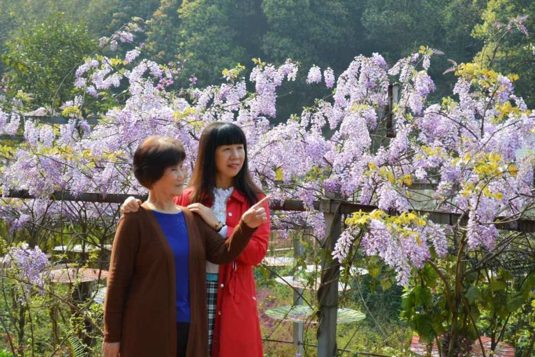 宜賓金蘭花谷珍稀植物園