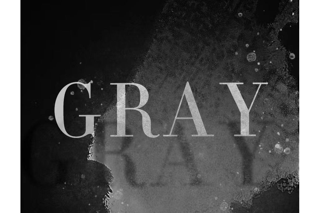 Gray(念寶兒創作的一部網路小說)