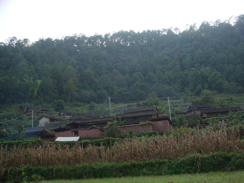 箐頭自然村(雲南省普洱鎮沅縣勐大鎮西山村委箐頭自然村)