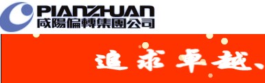 鹹陽偏轉集團公司LOGO