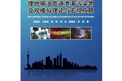 埋地輸油管道泄漏污染物介觀模擬理論與巨觀套用