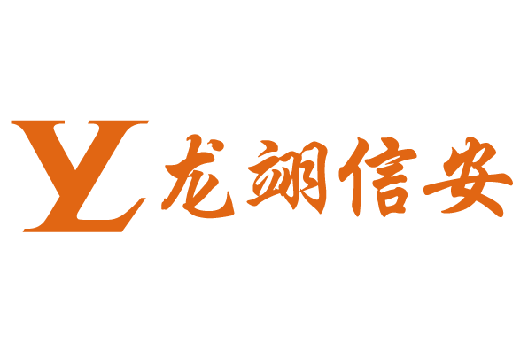 上海龍翊信息安全技術有限公司