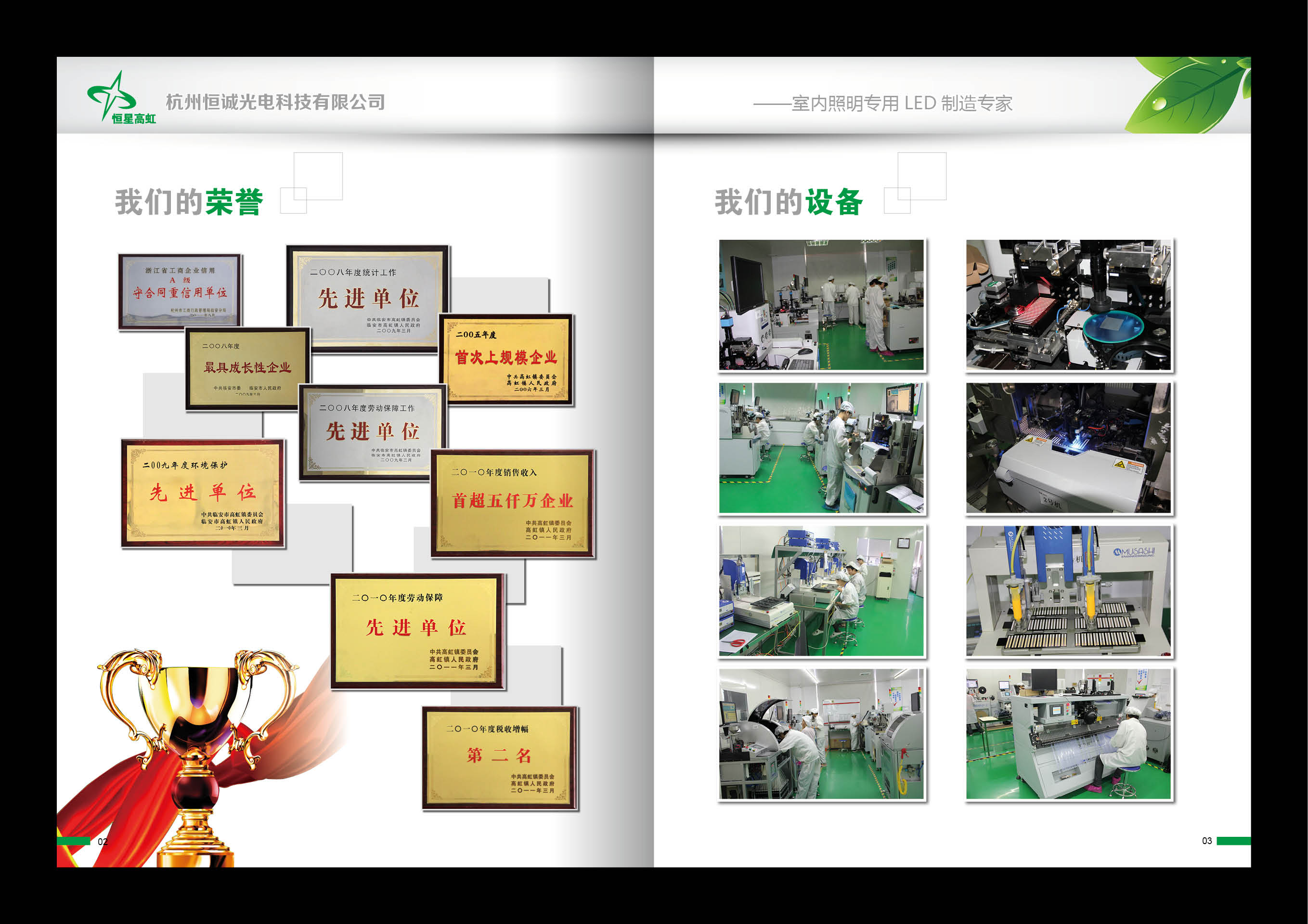 杭州臨安恆誠光電科技有限公司