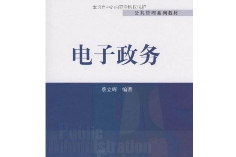 電子政務(2009年清華大學出版社出版的圖書)