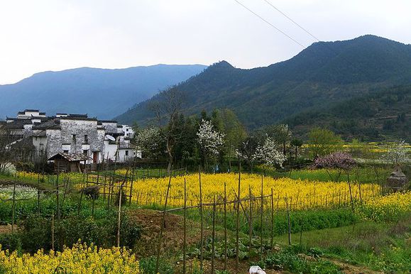 回嶺古道