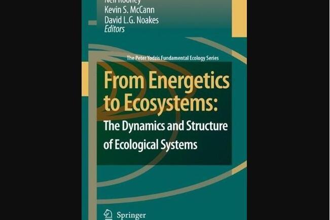 From Energetics to Ecosystems