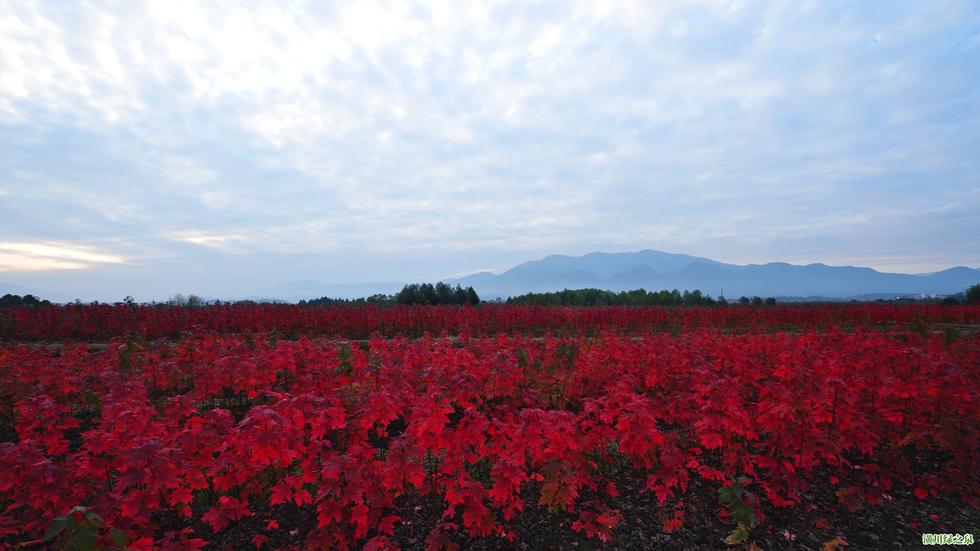 連崗村(潢川縣連崗村)