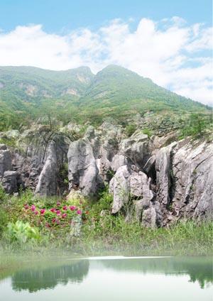 丫山花海石林