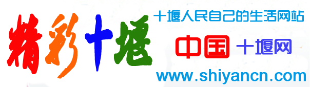 中國十堰網LOGO