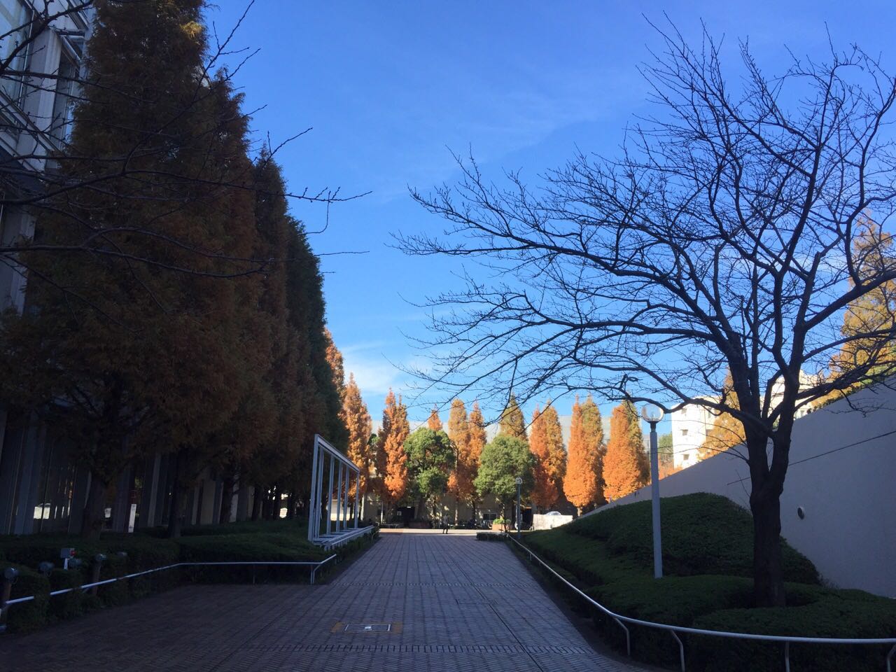 北九州市立大學(北九州大學)