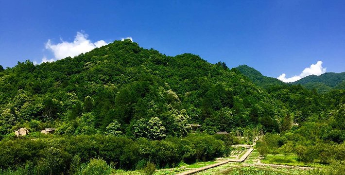 中國秦嶺悠然山高山濕地景區