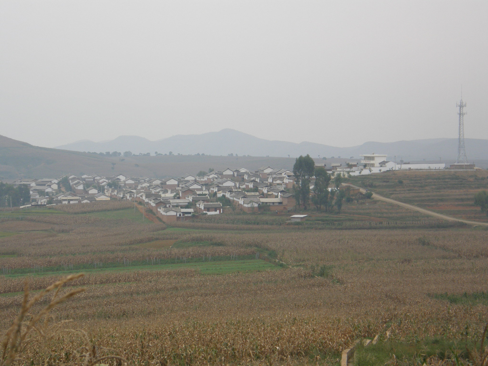 大壩子村(雲南賓川縣雞足山鎮下轄村)