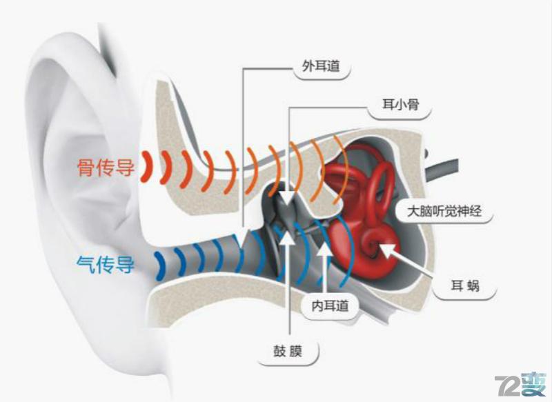 骨傳導