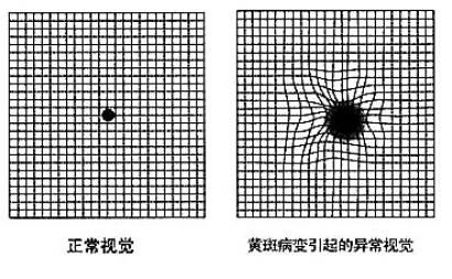 A4紙人生表格