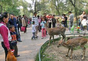 小公園