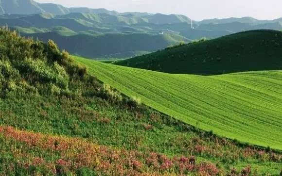 新疆巴爾魯克山國家級自然保護區