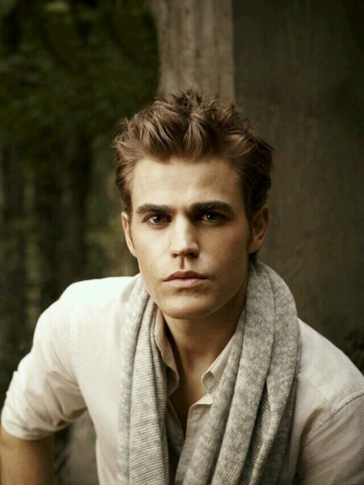 特凡·薩爾瓦托(Stefan Salvatore)