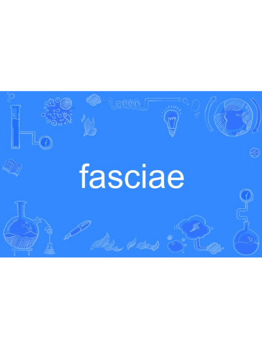 fasciae