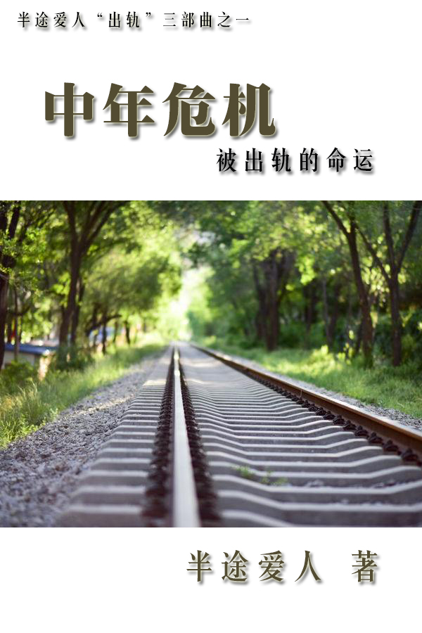 中年危機(中年同志小說)