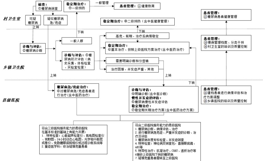 縣域糖尿病分級診療技術方案