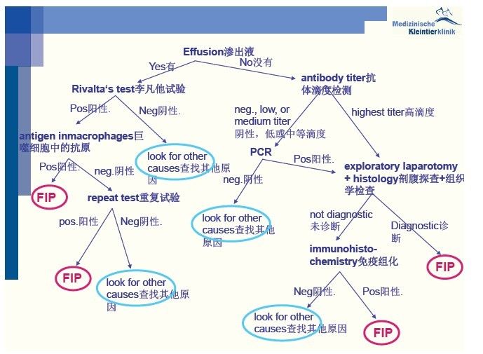 李凡他試驗(Rivalta試驗)