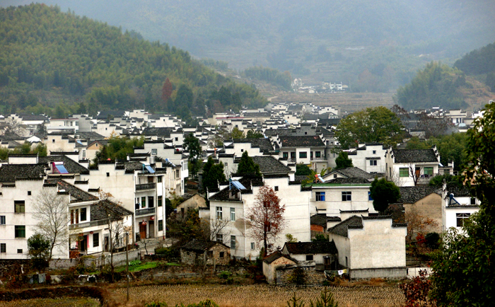 順江村(四川省成都市武侯區簇錦街道順江村)