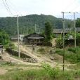 上田房村(雲南金平縣金水河鎮下轄村)