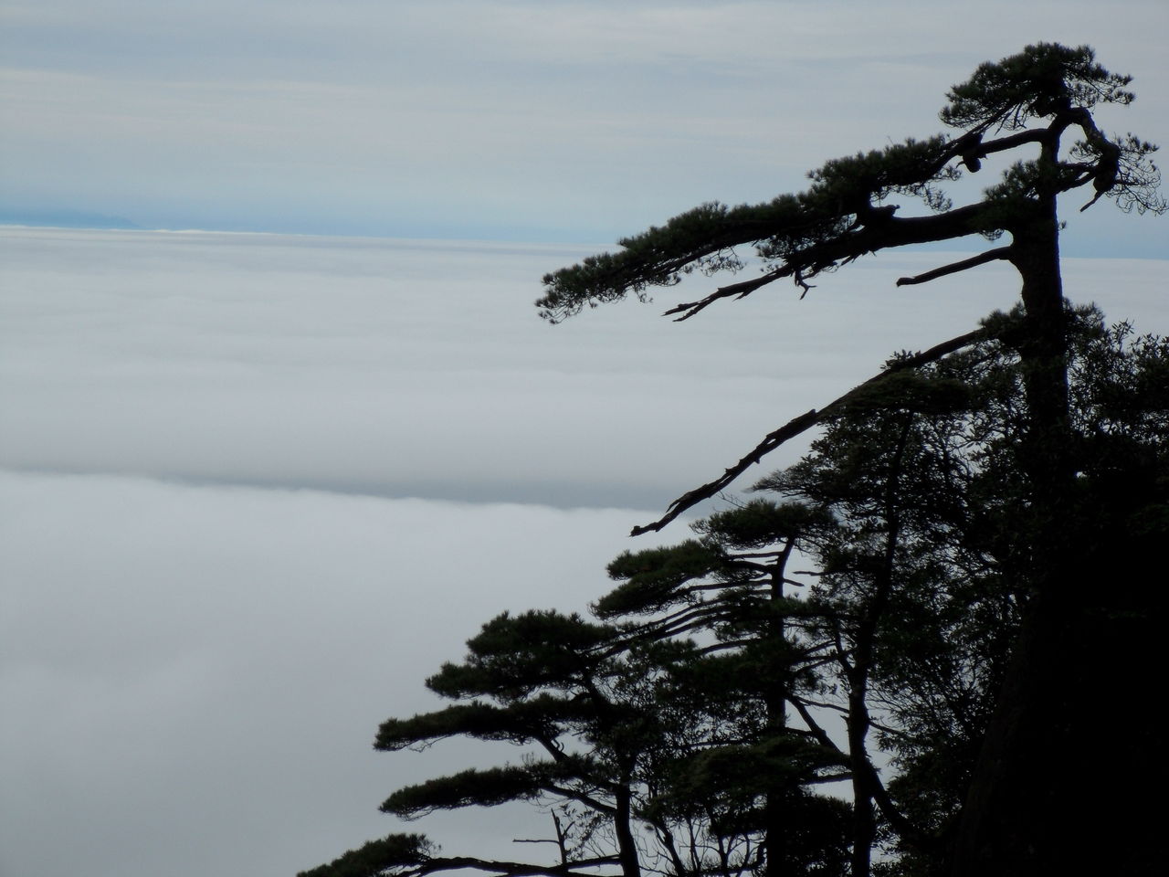 玉台松雲