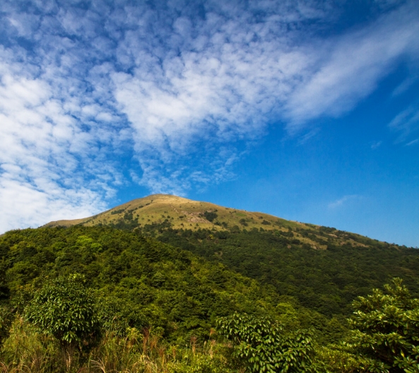 白雲嶂森林公園