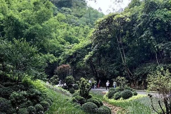 獅山森林公園