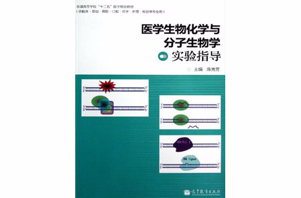 醫學生物化學與分子生物學實驗指導