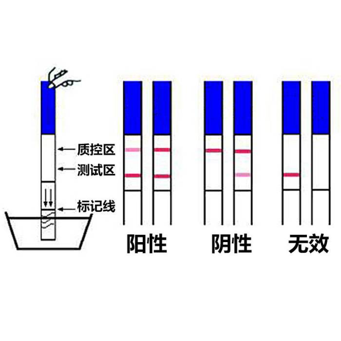 試紙條酶聯免疫吸附分析方法