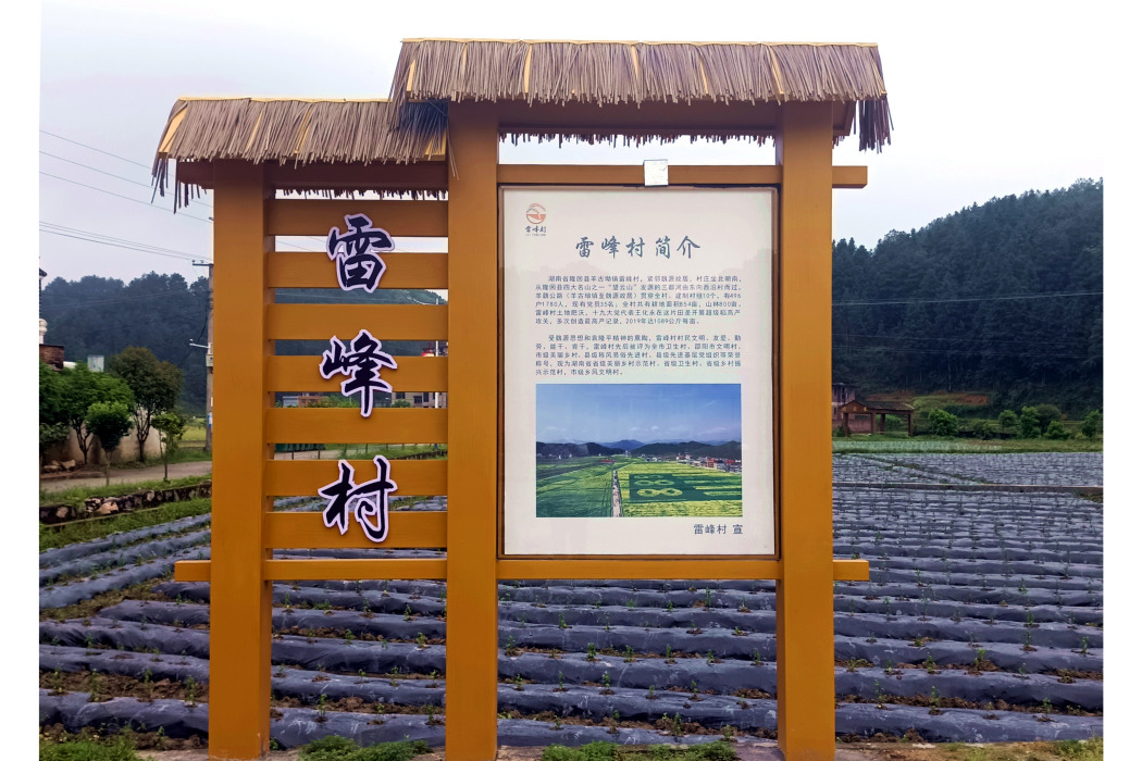 雷峰村(湖南省邵陽市隆回縣羊古坳鎮下轄村)