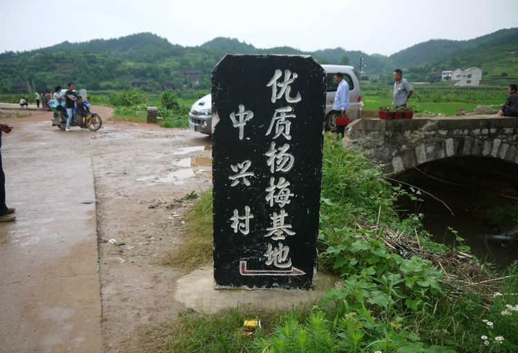 中心村(湖南省邵陽市邵東縣流澤鎮下轄村)