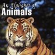 Alphabet of Animals(Bowker, John著圖書)