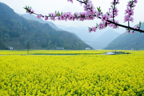 水泉坪村(陝西省安康市旬陽縣仁河口鄉下轄村)