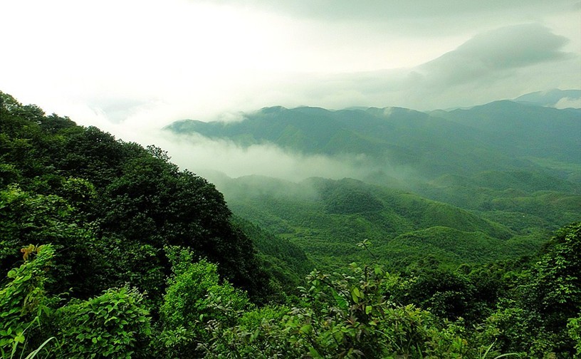 十萬大山國家級自然保護區(十萬大山國家森林公園)